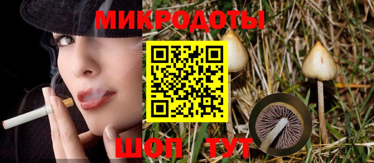 купить наркоту  Вход с VPN  Приморско-Ахтарск  Галлюциногенные грибы Magic Shrooms 